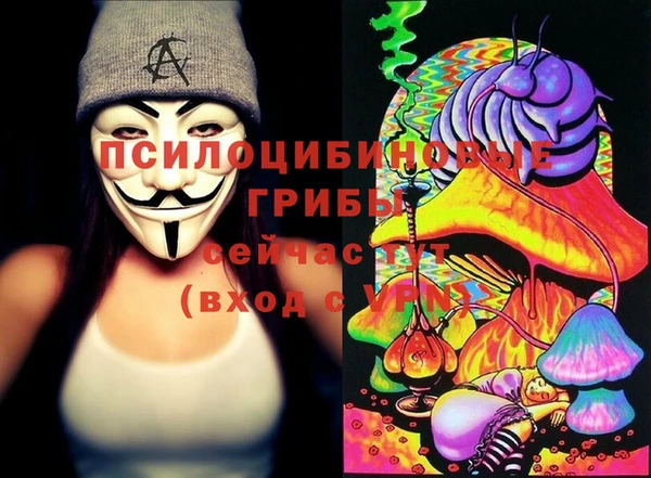 ПСИЛОЦИБИНОВЫЕ ГРИБЫ Сясьстрой